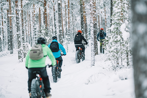 Ystävysten pyöräretki johtaa mäntymetsän läpi