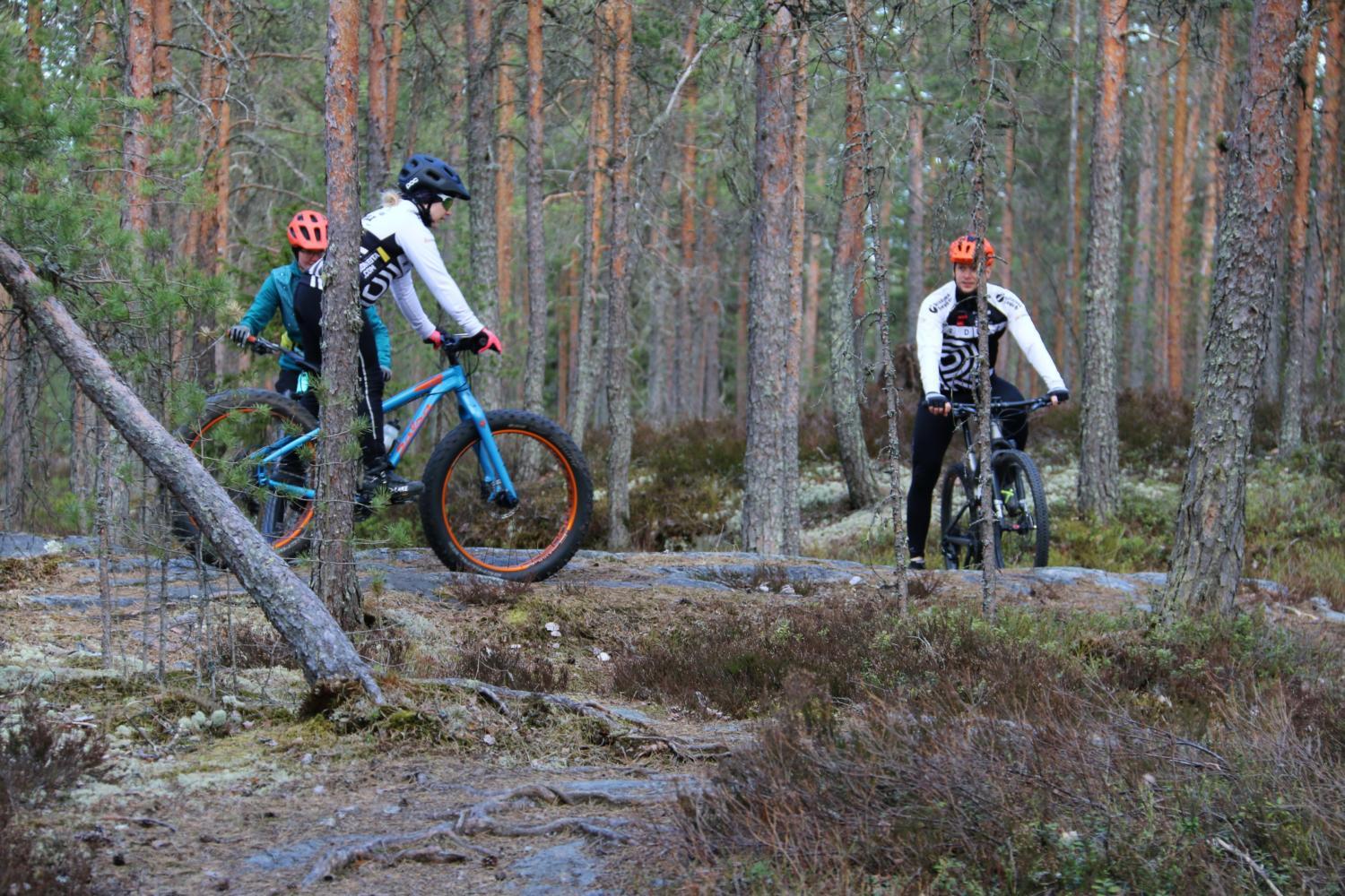 Maastopyöräilijät karkeassa kallioisessa mäntymetsä maastossa