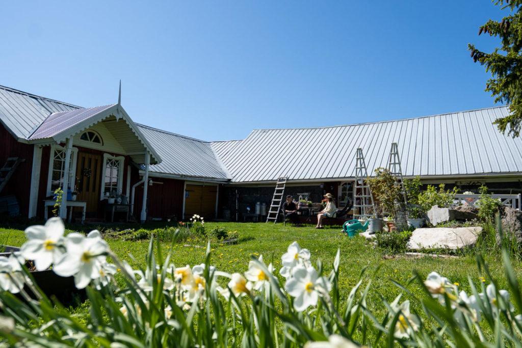 Maijan Wanhan Navetan Pohjalainen navetta pihapiiri