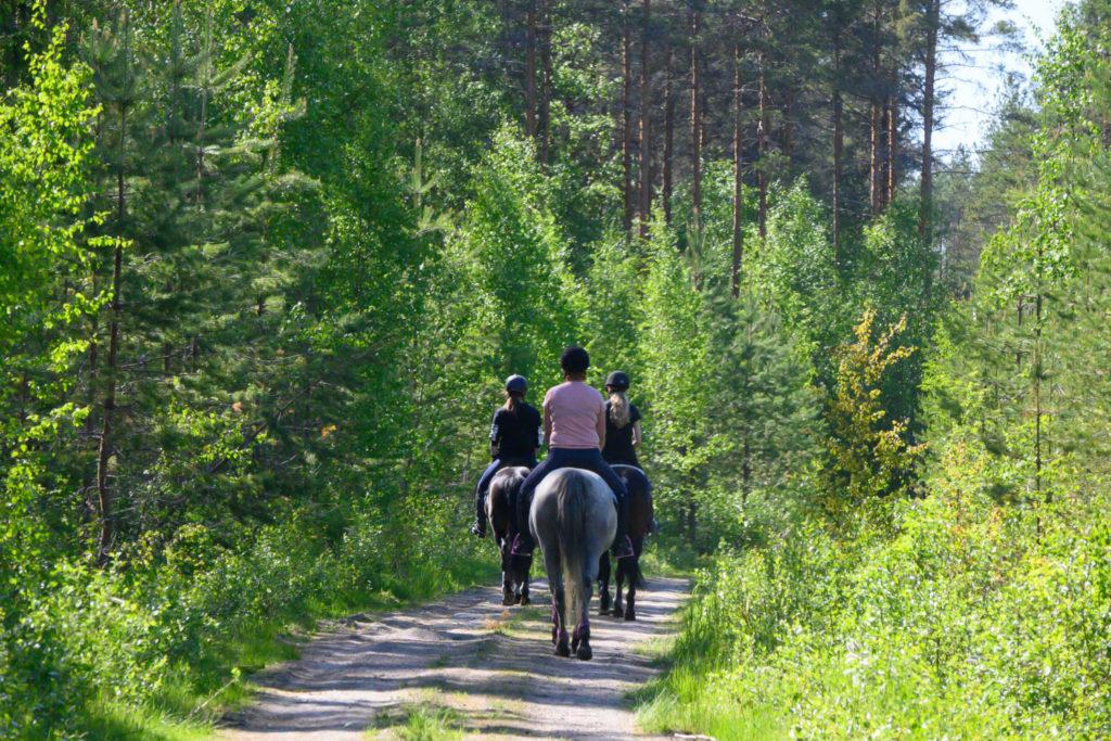 Ratsastajat metsäisellä polulla