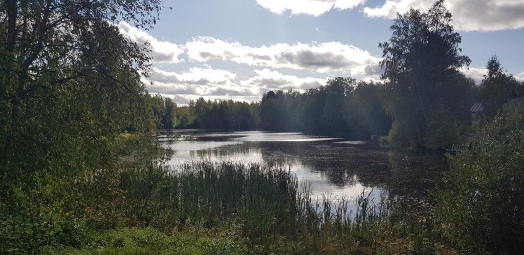 Jokiranta maisemaa metsän vieressä