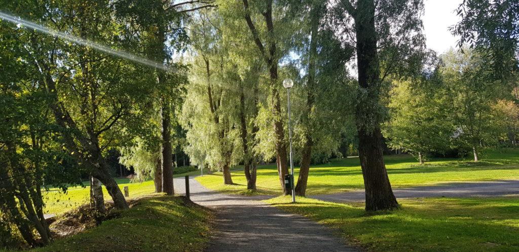 Törnävän puistoalueen lävitse kulkeva polku