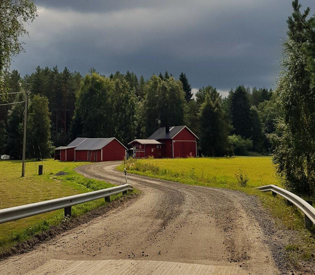 Tie kulkee maatilan ja peltojen ohitse