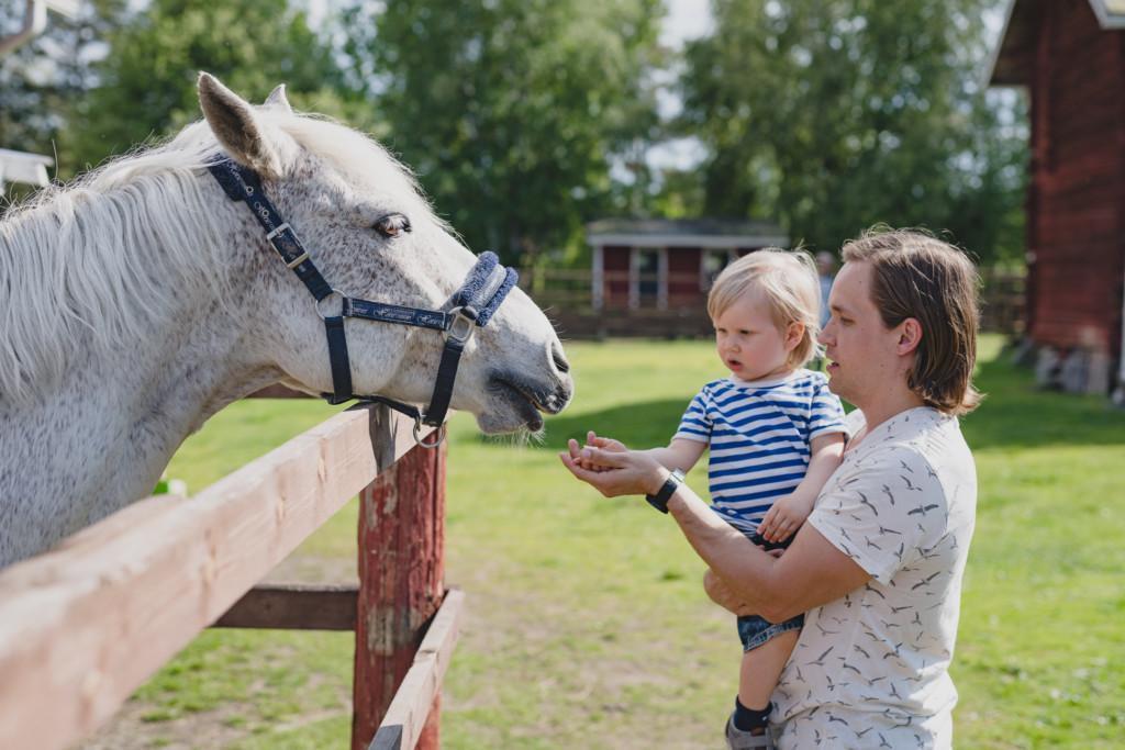 Isä esittelee hevosta lapselleen lapsi sylissä.