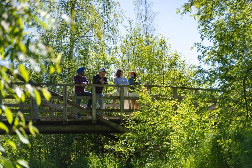 Ystävykset ihailevat maisemia sillalla