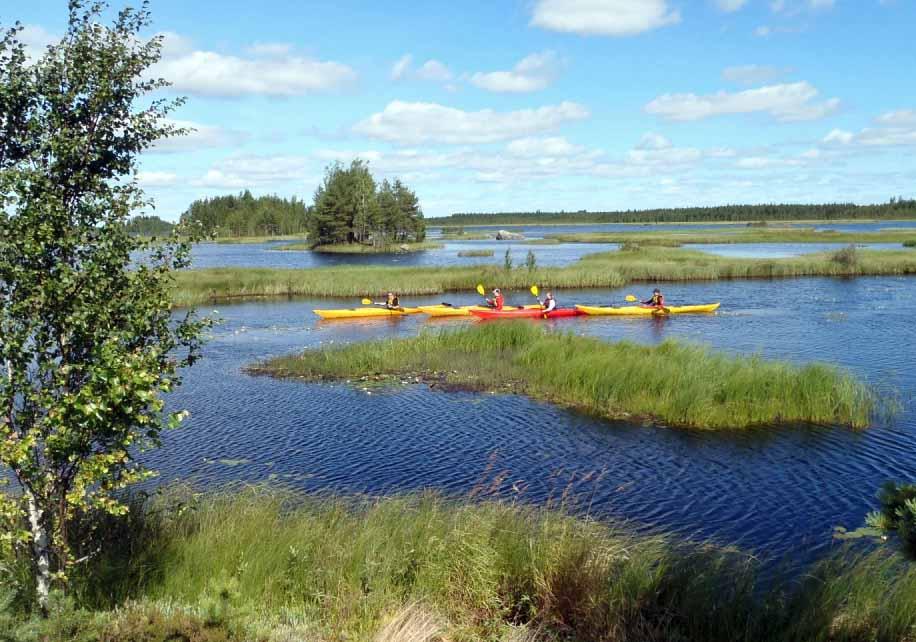 Melojat Varpulan tekojärven kaislikossa melomassa.