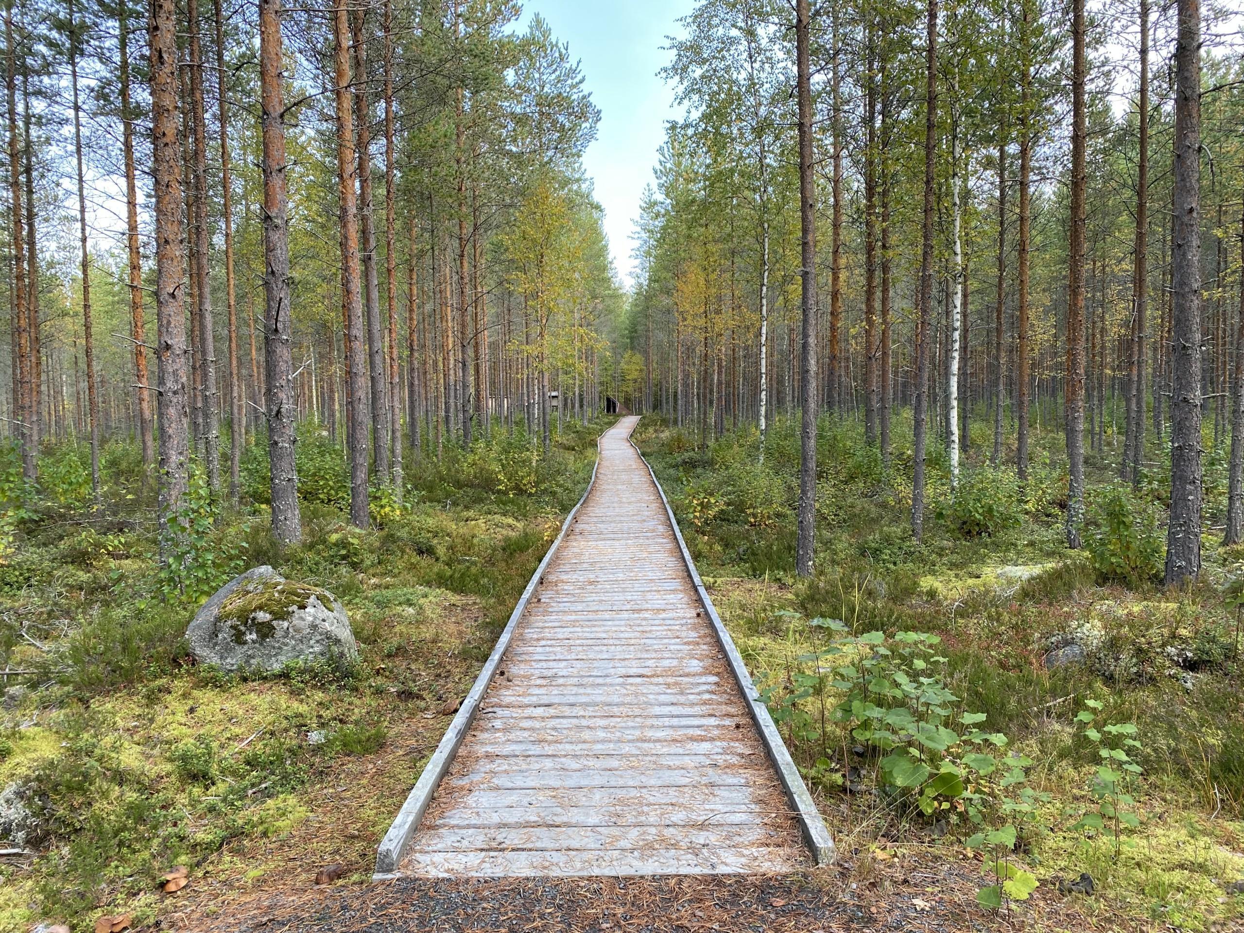 luonto metsä kalajärvi peräseinäjoki seinäjoki retkeily