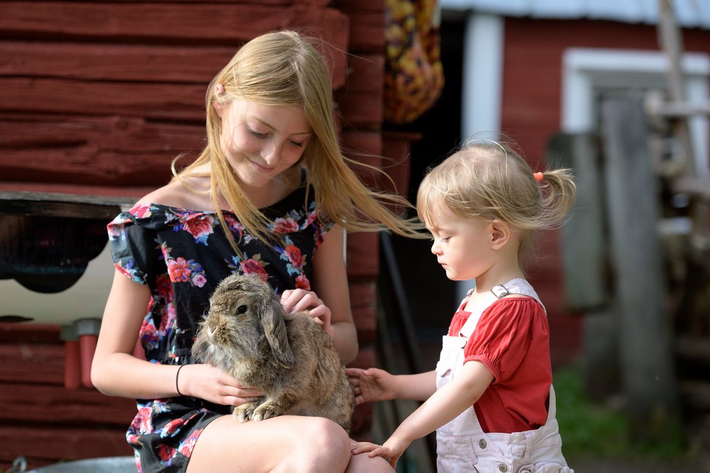 Lapset silittävät pupua Maatilamatkailu Ilomäellä