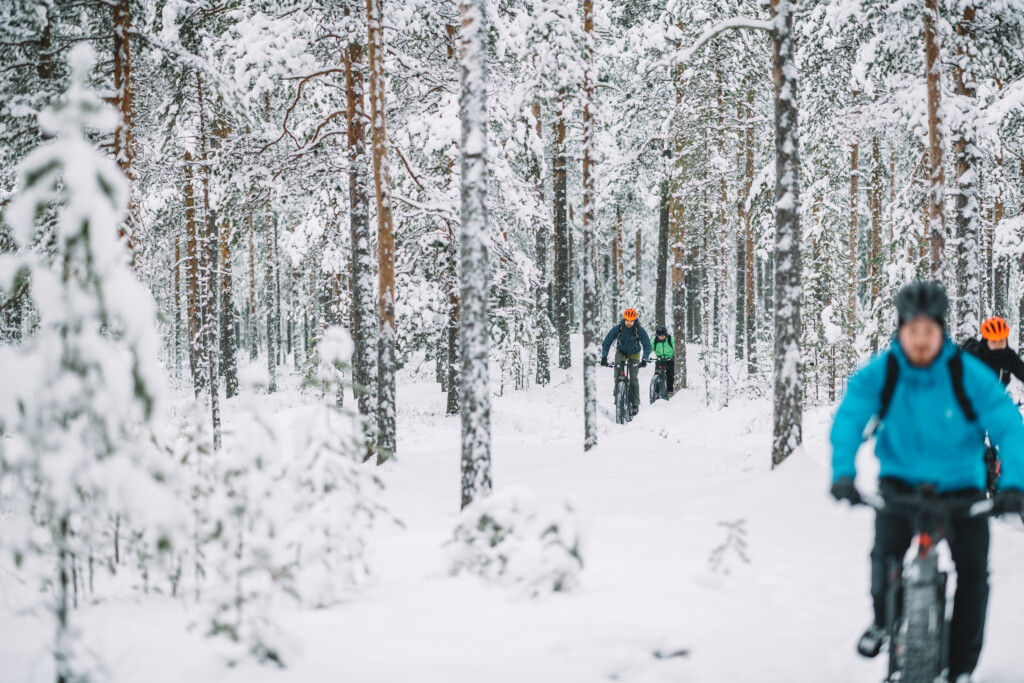 Pyöräilijät talvisessa metsässä