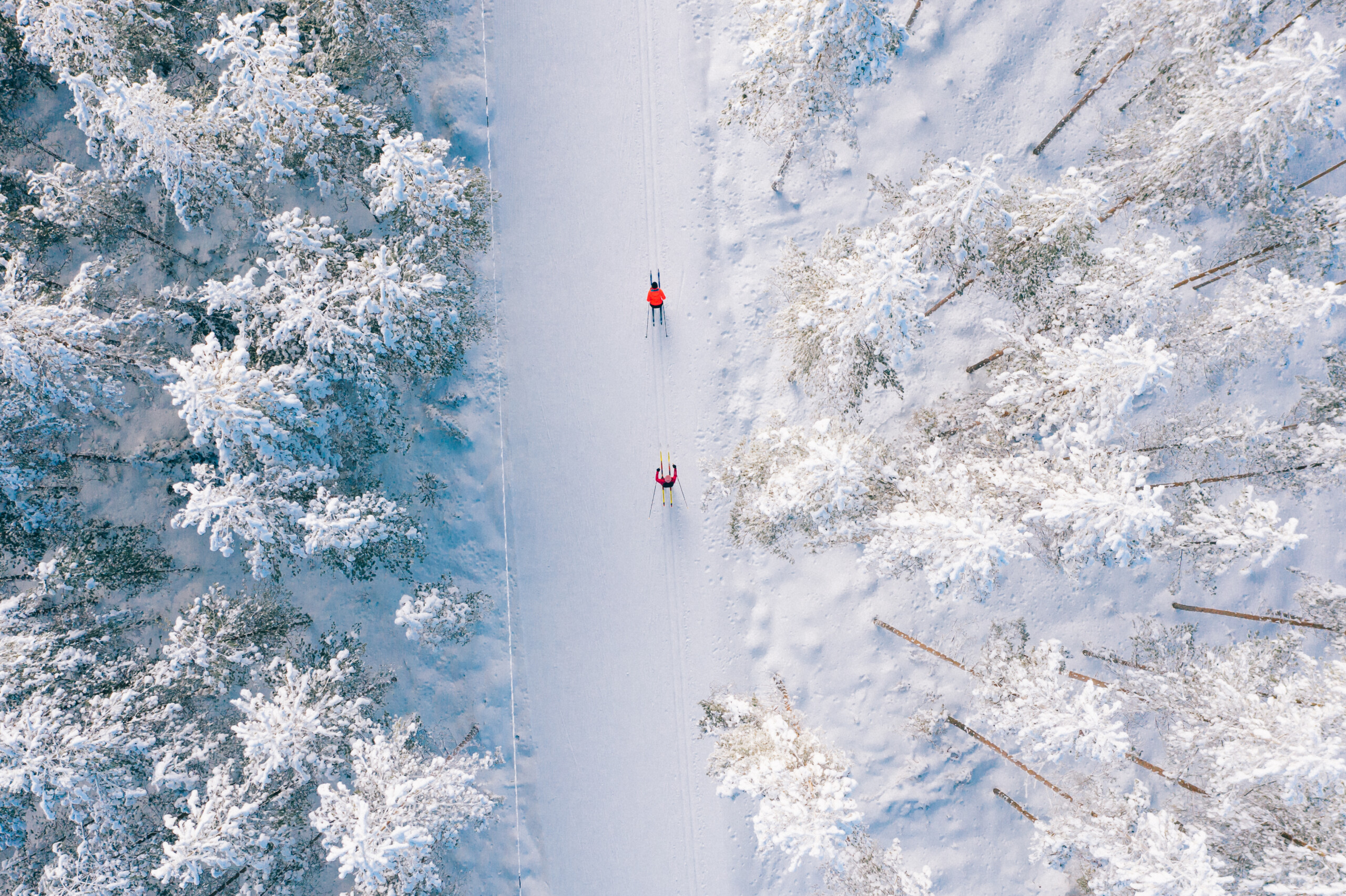 Hiihtäjät metsäladulla talvisessa metsässä