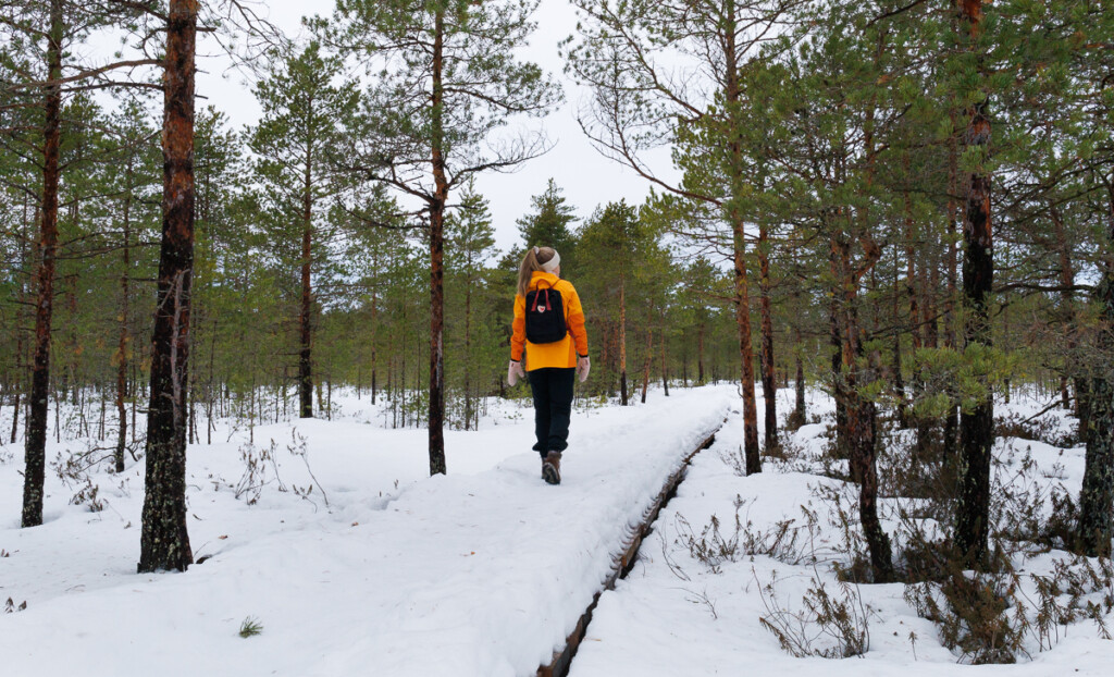 Retkeilijä polulla